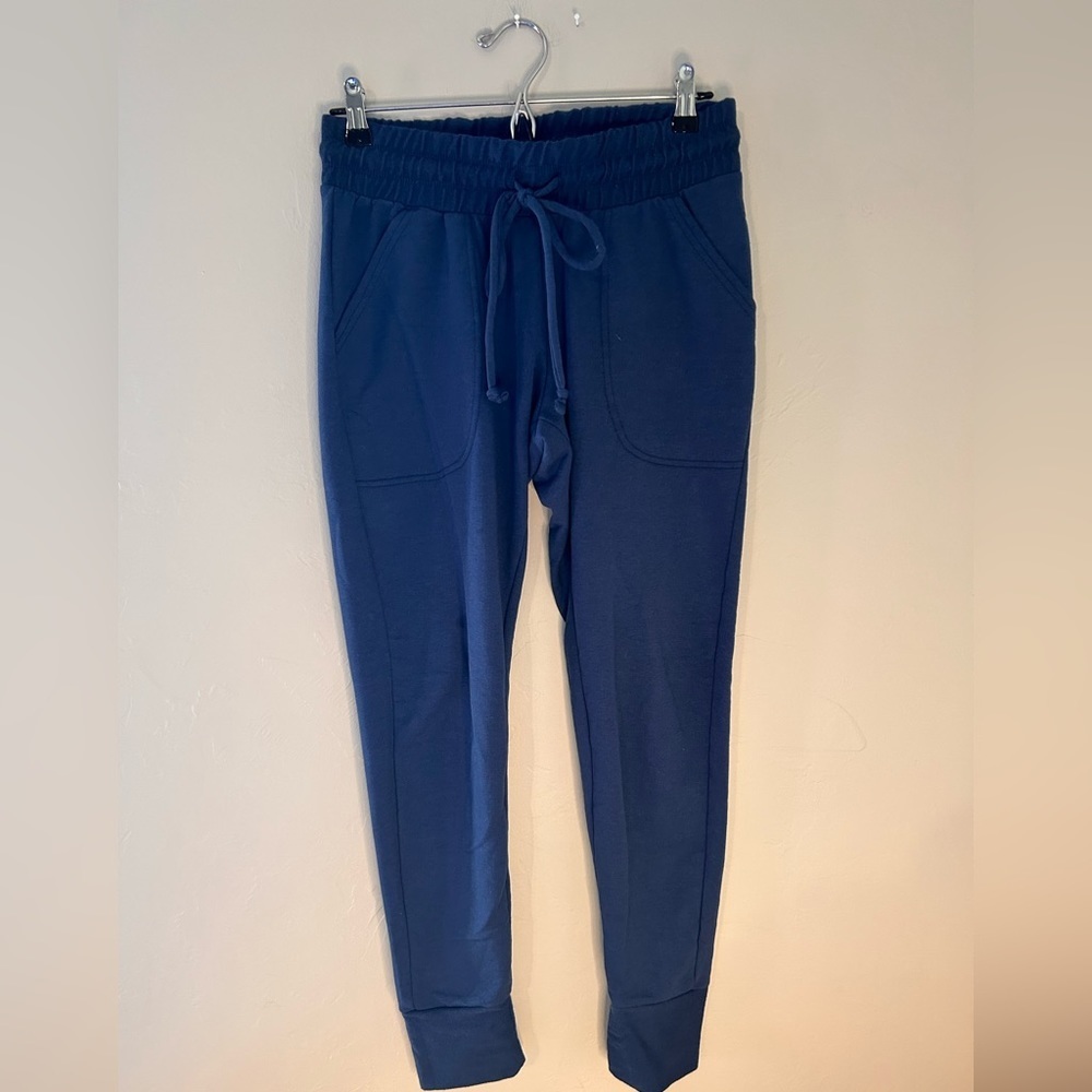 Free people movement blue jogger sweatpants